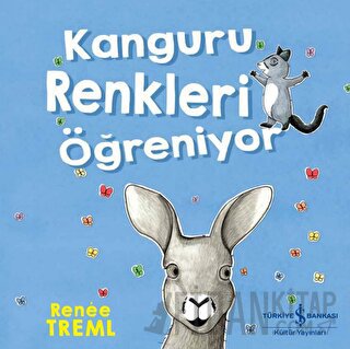 Kanguru Renkleri Öğreniyor