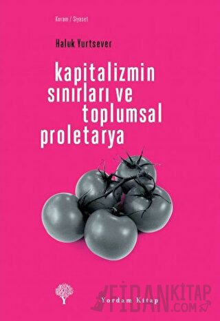 Kapitalizmin Sınırları ve Toplumsal Proletarya