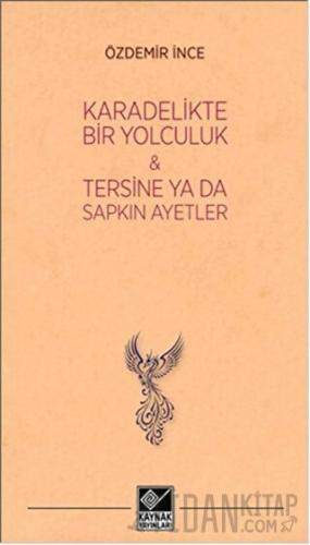 Kara Delikte Bir Yolculuk ve Tersine ya da Sapkın Ayetler