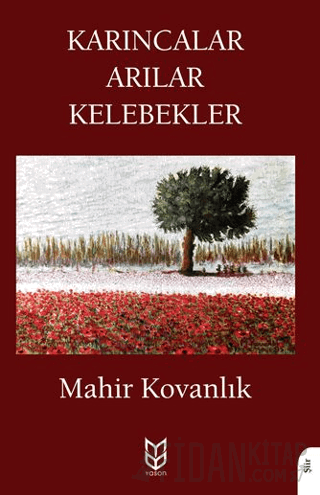 Karıncalar Arılar Kelebekler