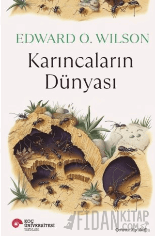 Karıncaların Dünyası