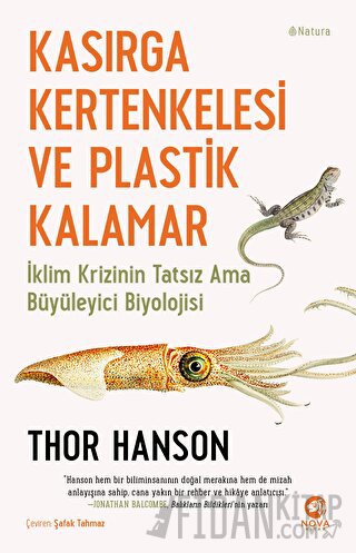 Kasırga Kertenkelesi ve Plastik Kalamar