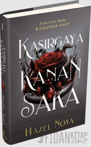 Kasırgaya Kanan Saka 1 (Ciltli)