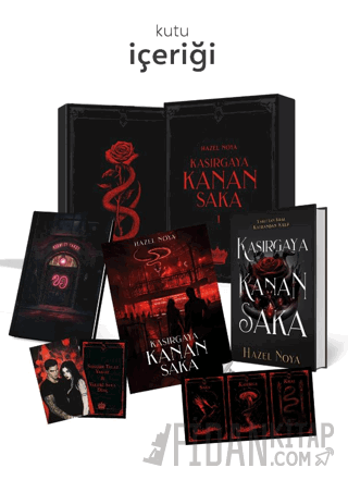 Kasırgaya Kanan Saka 1- Hediyeli Özel Kutu (Ciltli)