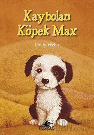 Kaybolan Köpek Max
