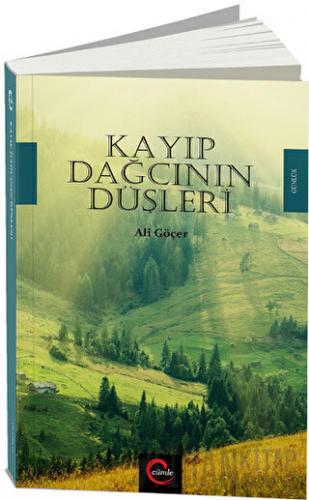 Kayıp Dağcının Düşleri
