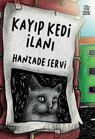 Kayıp Kedi İlanı