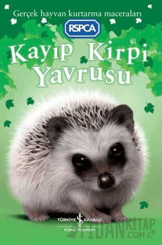 Kayıp Kirpi Yavrusu