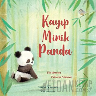 Kayıp Minik Panda