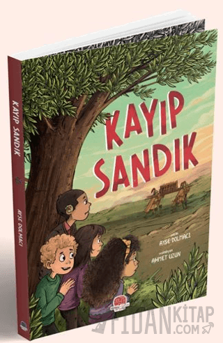 Kayıp Sandık Ayşe Dolmacı
