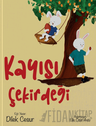 Kayısı Çekirdeği