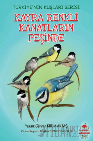 Kayra Renkli Kanatların Peşinde - Türkiye'nin Kuşları (Renkli Resimli 6+Yaş)