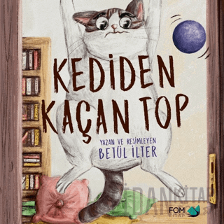 Kediden Kaçan Top