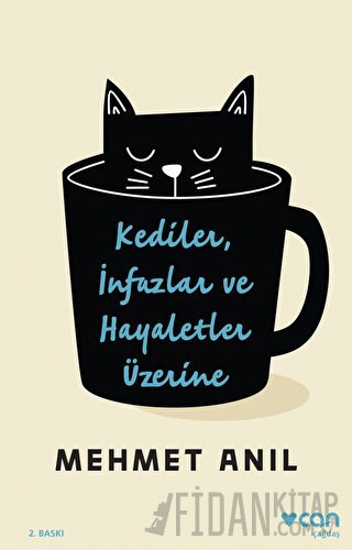 Kediler İnfazlar ve Hayaletler Üzerine Mehmet Anıl