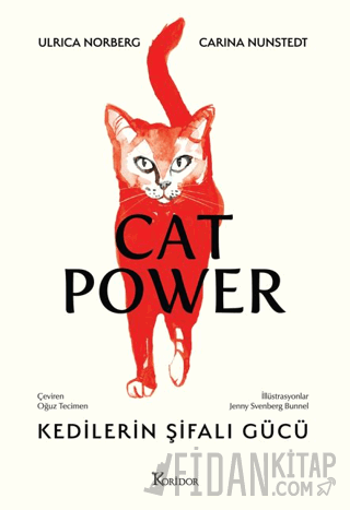 Kedilerin Şifalı Gücü