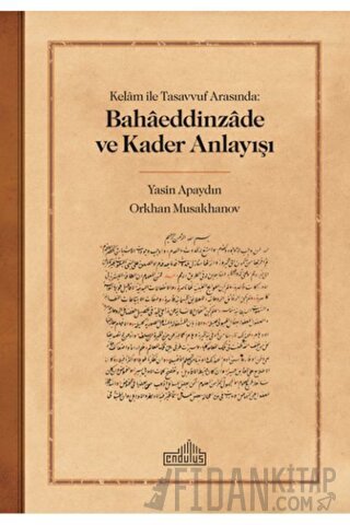 Kelam ile Tasavvuf Arasında: Bahaeddinzade ve Kader Anlayışı