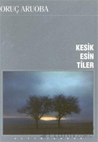 Kesik Esintiler Oruç Aruoba