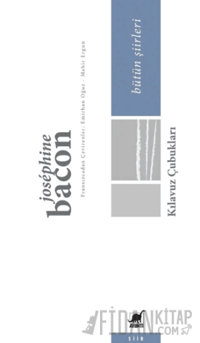 Kılavuz Çubukları