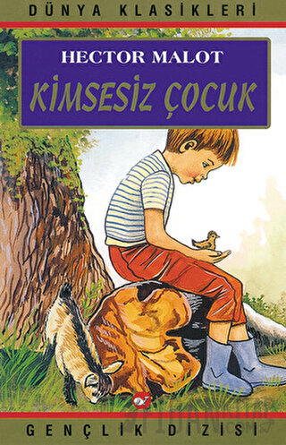 Kimsesiz Çocuk Hector Malot