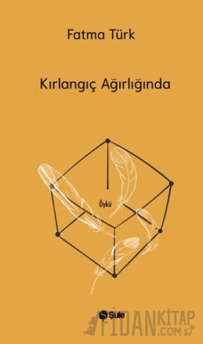 Kırlangıç Ağırlığında