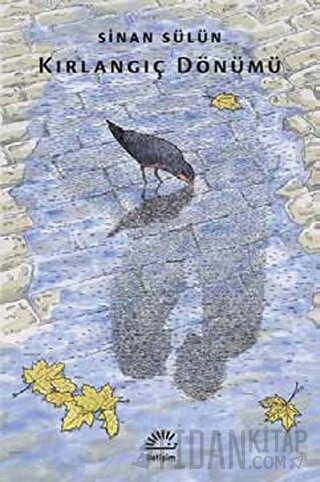 Kırlangıç Dönümü