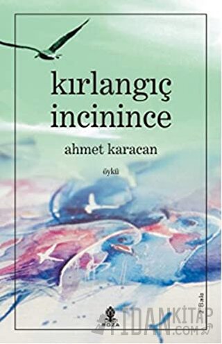 Kırlangıç İncinince