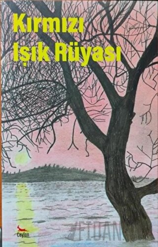 Kırmızı Işık Rüyası