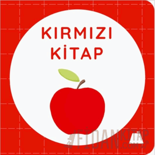 Kırmızı Kitap (Ciltli)