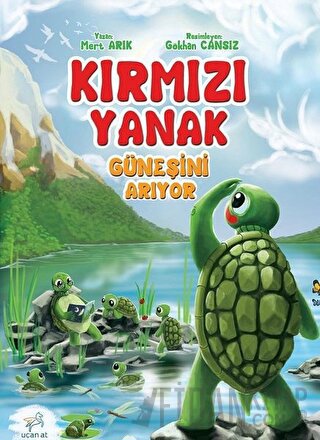 Kırmızı Yanak Güneşini Arıyor