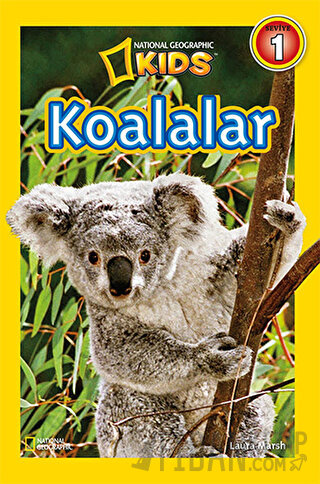 Koalalar - Seviye 1