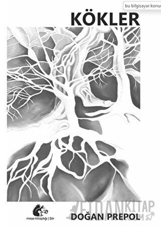 Kökler