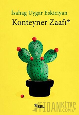 Konteyner Zaafı