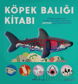 Köpek Balığı Kitabı (Ciltli) Hannah Alice