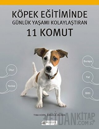 Köpek Eğitiminde Günlük Yaşamı Kolaylaştıran 11 Komut