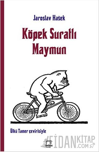 Köpek Suratlı Maymun
