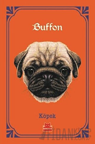 Köpek