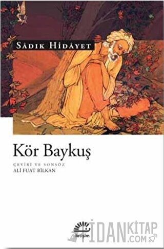 Kör Baykuş