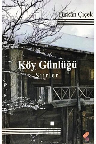 Köy Günlüğü