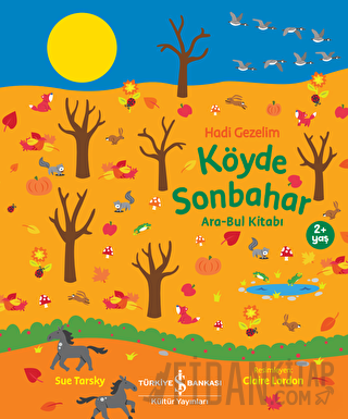 Haydi Gezelim Köyde Sonbahar Ara-Bul Kitabı