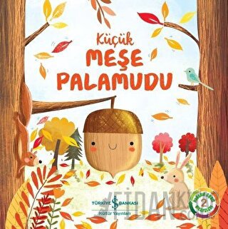 Küçük Meşe Palamudu - Doğanın Eşsiz Hikayeleri 2