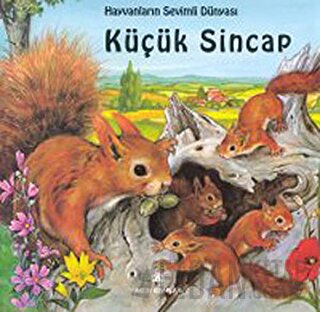 Küçük Sincap Marie Duval