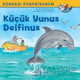 Küçük Yunus Delfinus