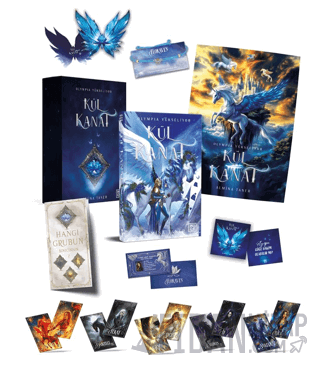 Kül Kanat Kutulu Set (Ciltli)
