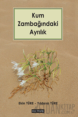 Kum Zambağındaki Ayrılık