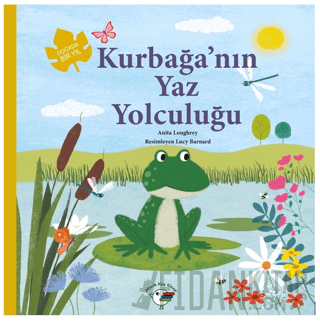 Kurbağa’nın Yaz Yolculuğu – Doğada Bir Yıl