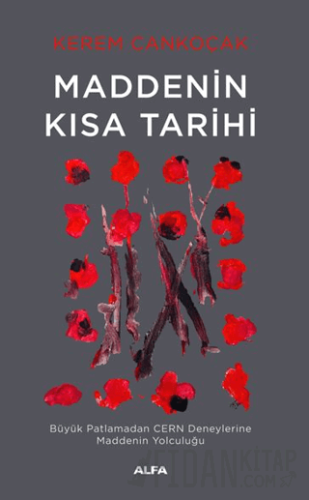 Maddenin Kısa Tarihi