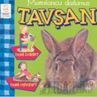 Maratoncu Dostumuz Tavşan Nasıl Bakılır? Nasıl Oynanır? Christine Morl