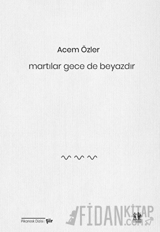Martılar Gece de Beyazdır