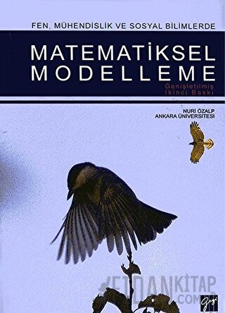 Matematiksel Modelleme