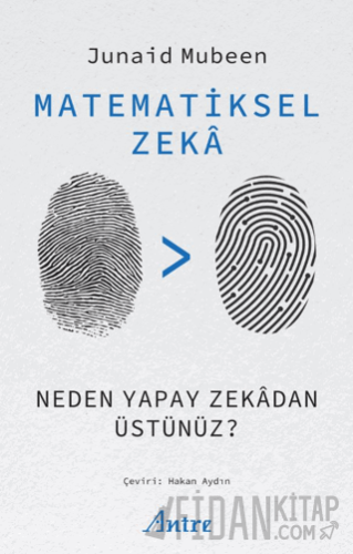 Matematiksel Zekâ/ Neden Yapay Zekâdan Üstünüz?